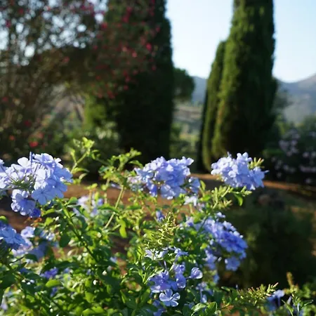 Appartement Studio-appartment In Mit Meerblick Porto Azzurro